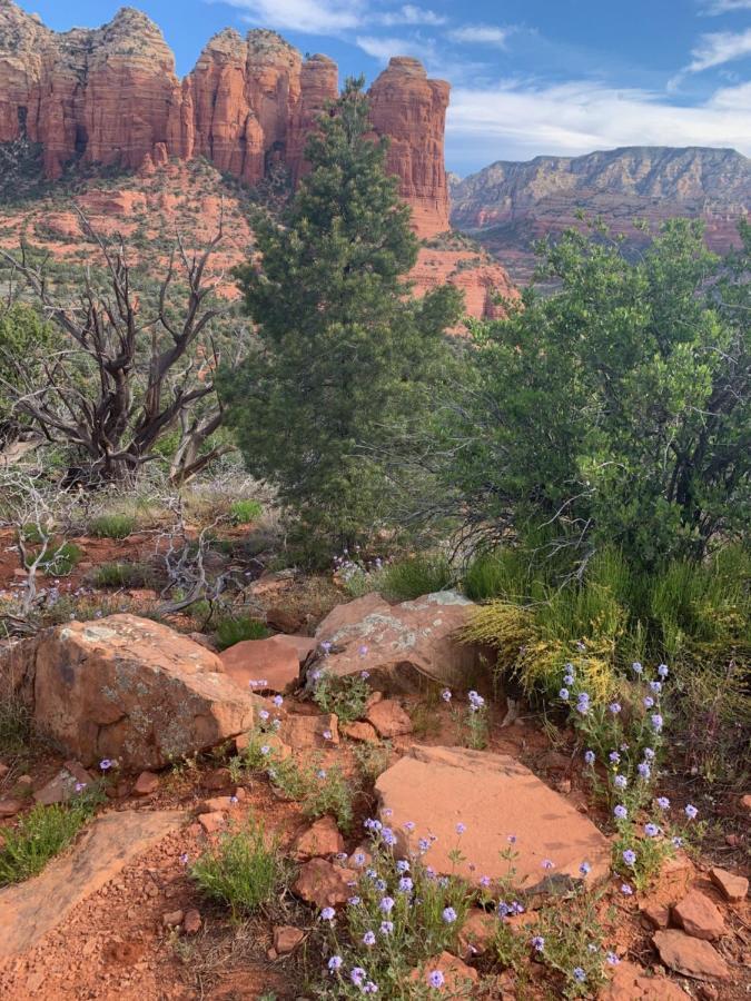 Sedona Room Homestay - Thunder Mountain Esterno foto